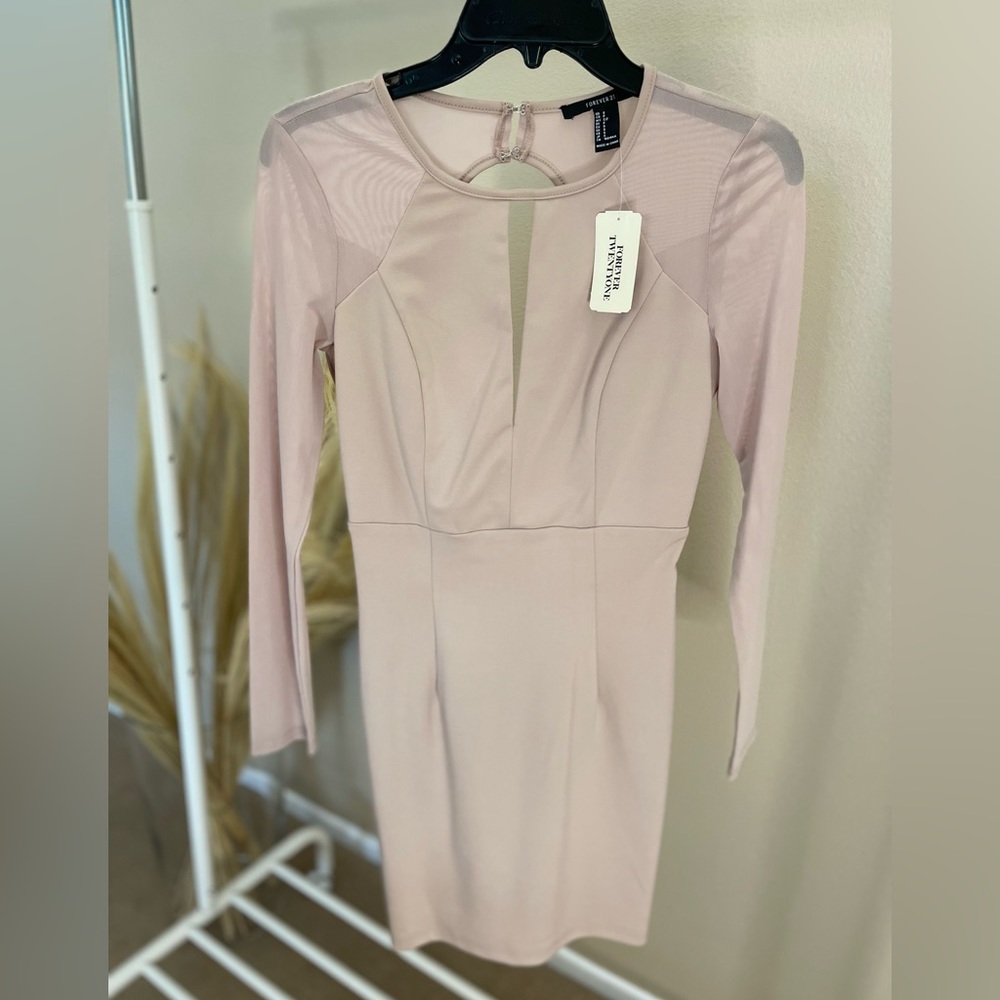Forever 21 bodycon dress with long sheer sleeves (thick fabric)